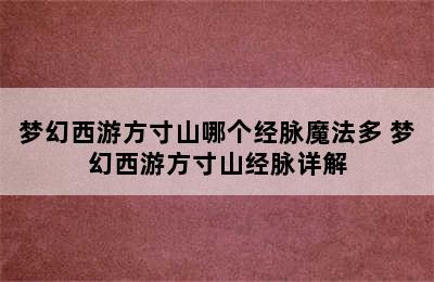 梦幻西游方寸山哪个经脉魔法多 梦幻西游方寸山经脉详解